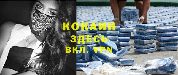 эйфоретик Анива