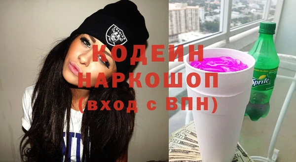 индика Верхний Тагил