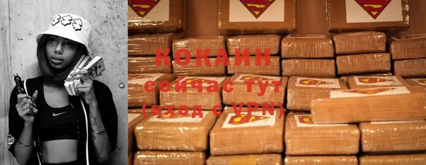 индика Верхний Тагил