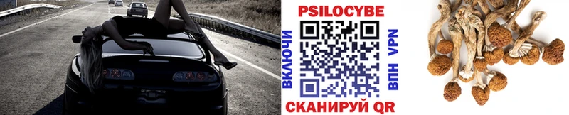 Псилоцибиновые грибы Psilocybine cubensis  hydra как зайти  Буйнакск 