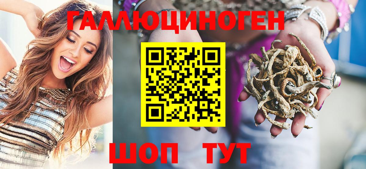 Псилоцибиновые грибы прущие грибы Буйнакск