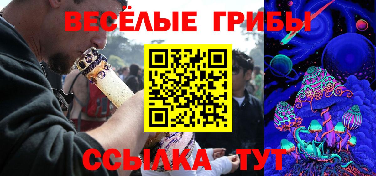 Буйнакск  Псилоцибиновые грибы мицелий  Вход с VPN 