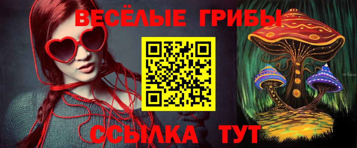 Галлюциногенные грибы Psilocybine cubensis  Буйнакск  Псилоцибиновые грибы Magic Shrooms 