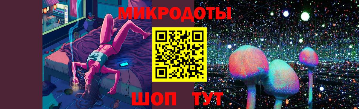 Псилоцибиновые грибы Psilocybe Буйнакск