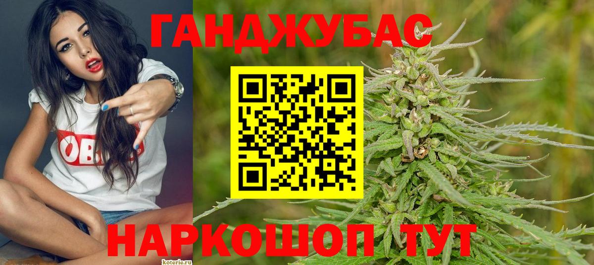 Марихуана сатива Буйнакск